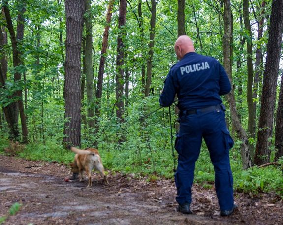 Policjant z psem służbowym w lesie