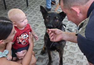 Mały chłopiec obok którego znajduje się pies służbowy