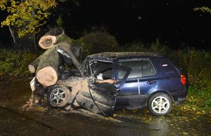 Samochód przygnieciony przez drzewo w przedniej części