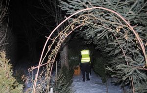 Pora nocna, policjant kontroluje ogródki działkowe