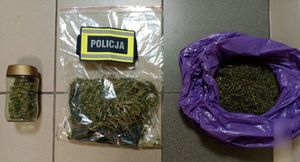 Zabezpieczony susz koloru zielonego