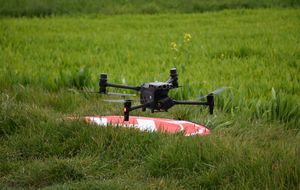 Dron na tle łąki