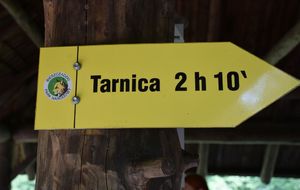 Znak z napisem Tarnica 2 h 10