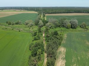 Zdjęcie z drona na kompleks leśny