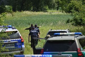 Policjanci obezwładnią pozoranta na leśnej łące. .