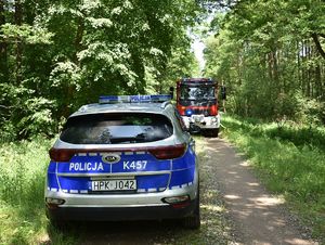 Radiowóz na leśnej drodze