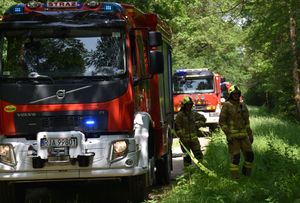 Wozy strażackie na leśnej drodze