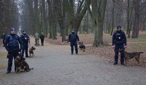 Policyjni przewodnicy z psami w parku