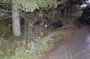 Element pojazdu przy drzewie