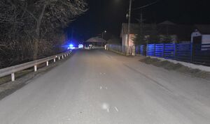 Droga. W tle policyjny radiowóz.